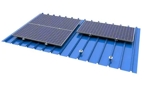 2. Choosing Your Fighter Monocrystalline vs. Bifacial Panels