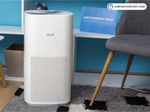 Do Air Purifiers Help With Mold