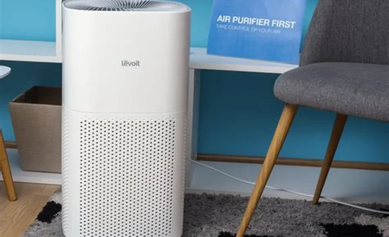 Do Air Purifiers Help With Mold