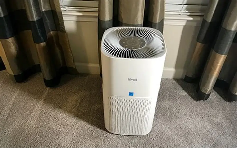 Air purifier in a room with indoor plants