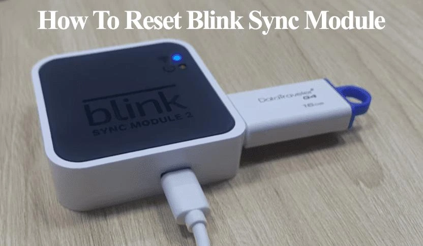 Blink Reset Button Location