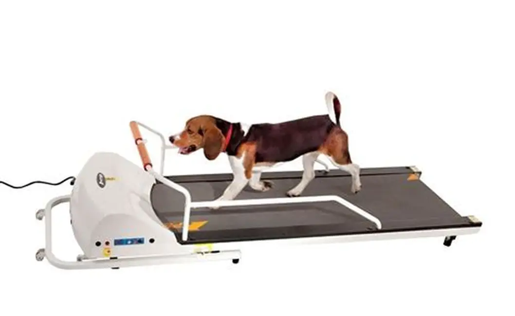 GoPet Treadmill for Small Dogs