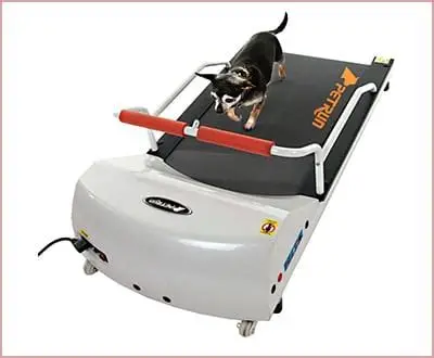 GoPet Treadmill for Small Dogs