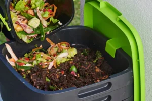 How to Compost at Home