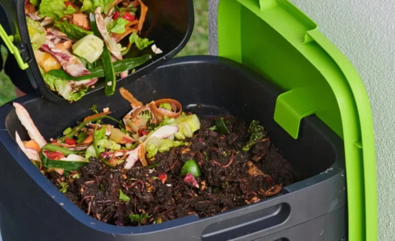 How to Compost at Home