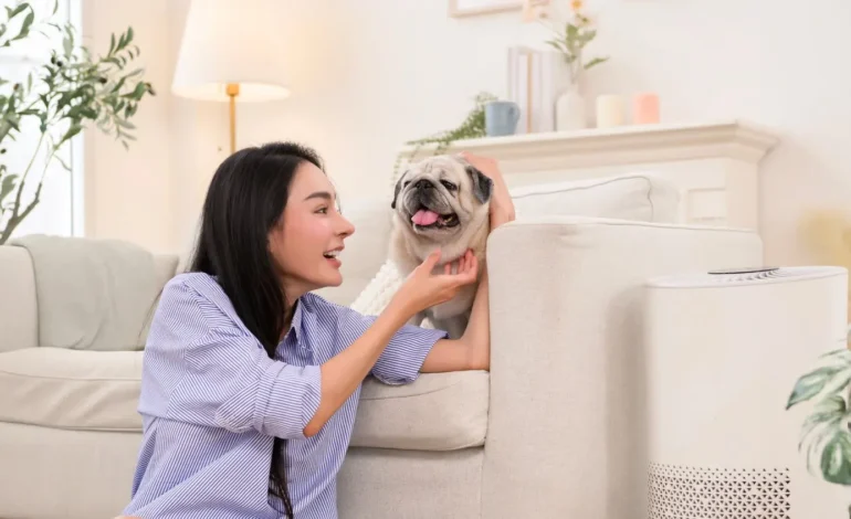 Levoit Core 400S Meets Smart Security: Automate Your Home 2026