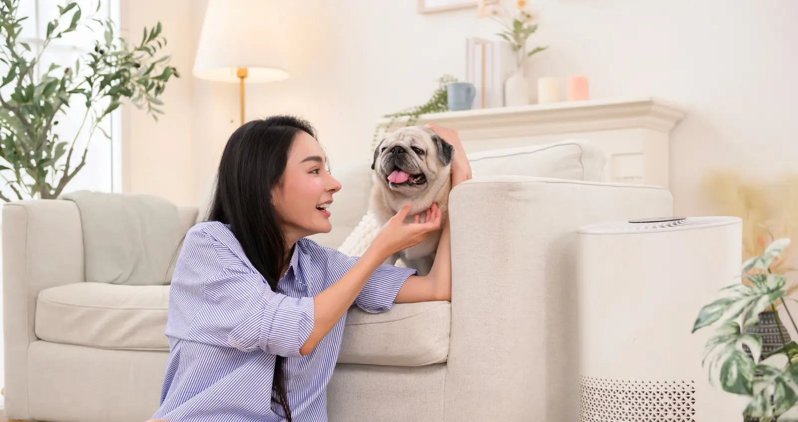 Levoit Core 400S Meets Smart Security: Automate Your Home 2026