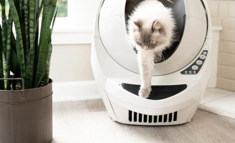Litter Robot 3 Flashing Blue Light
