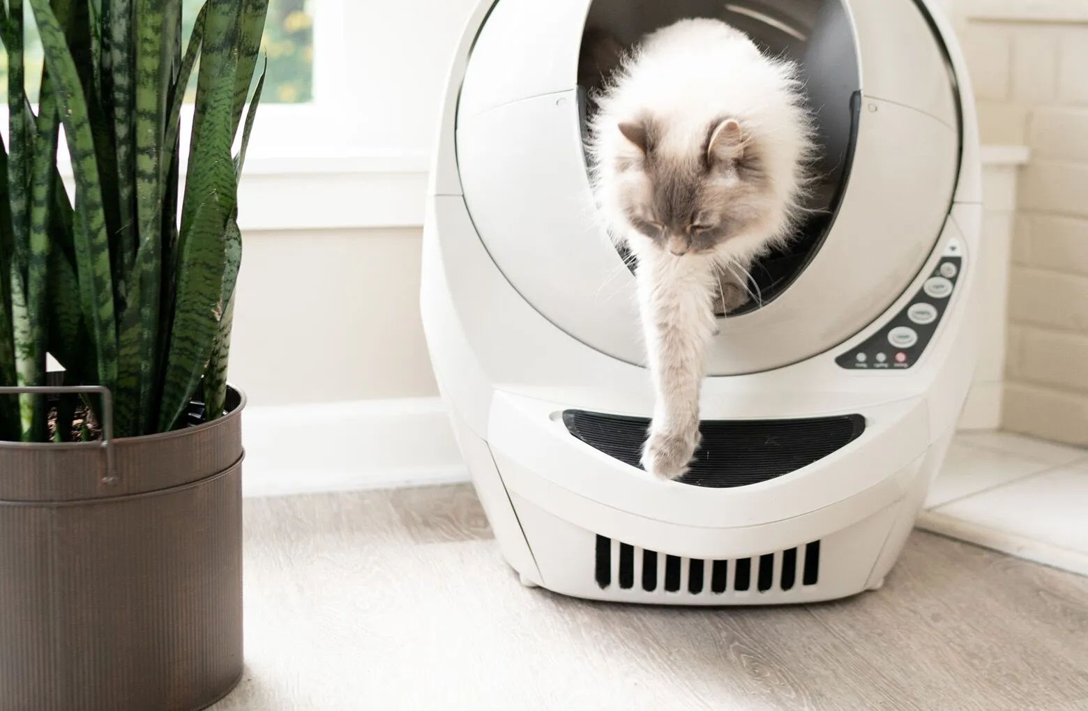 Litter Robot 3 Flashing Blue Light: 3 Fast Fixes That Actually Work (2026)