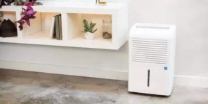 how to choose a dehumidifier