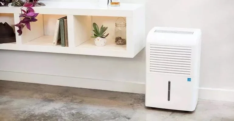 how to choose a dehumidifier