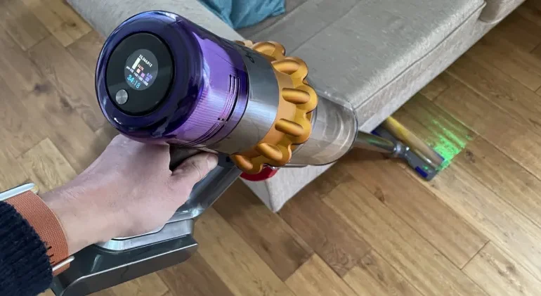 vacuum cleaner for fleas